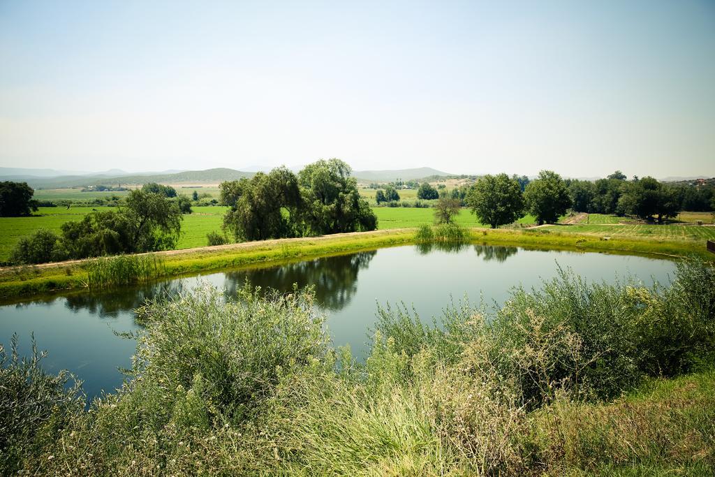 Surval Boutique Olive Estate Villa Oudtshoorn Kültér fotó